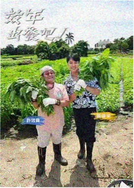 周末不打烊 综艺免费观看
